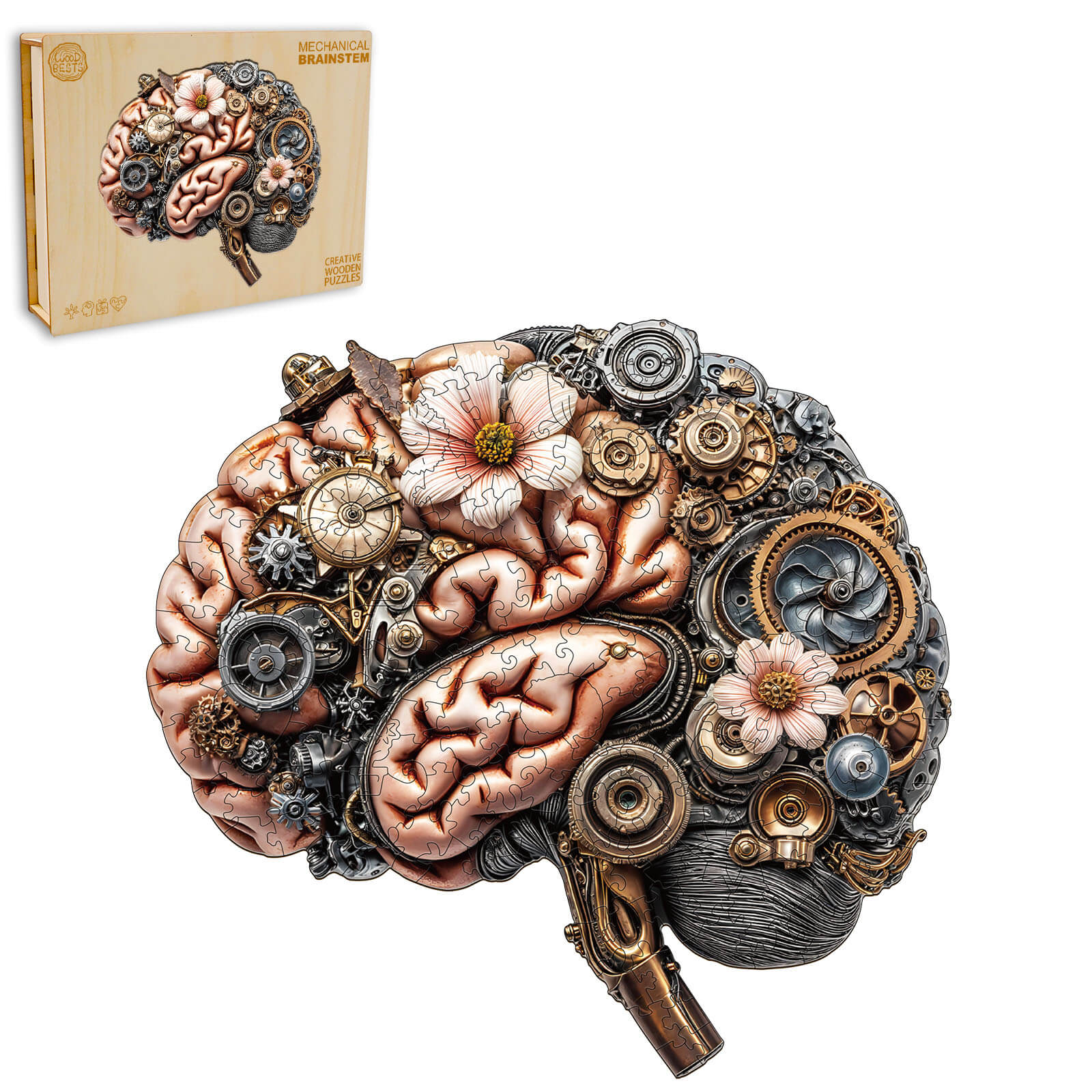 3D Mechanical Brainstem Wooden Jigsaw Puzzle - Image 4