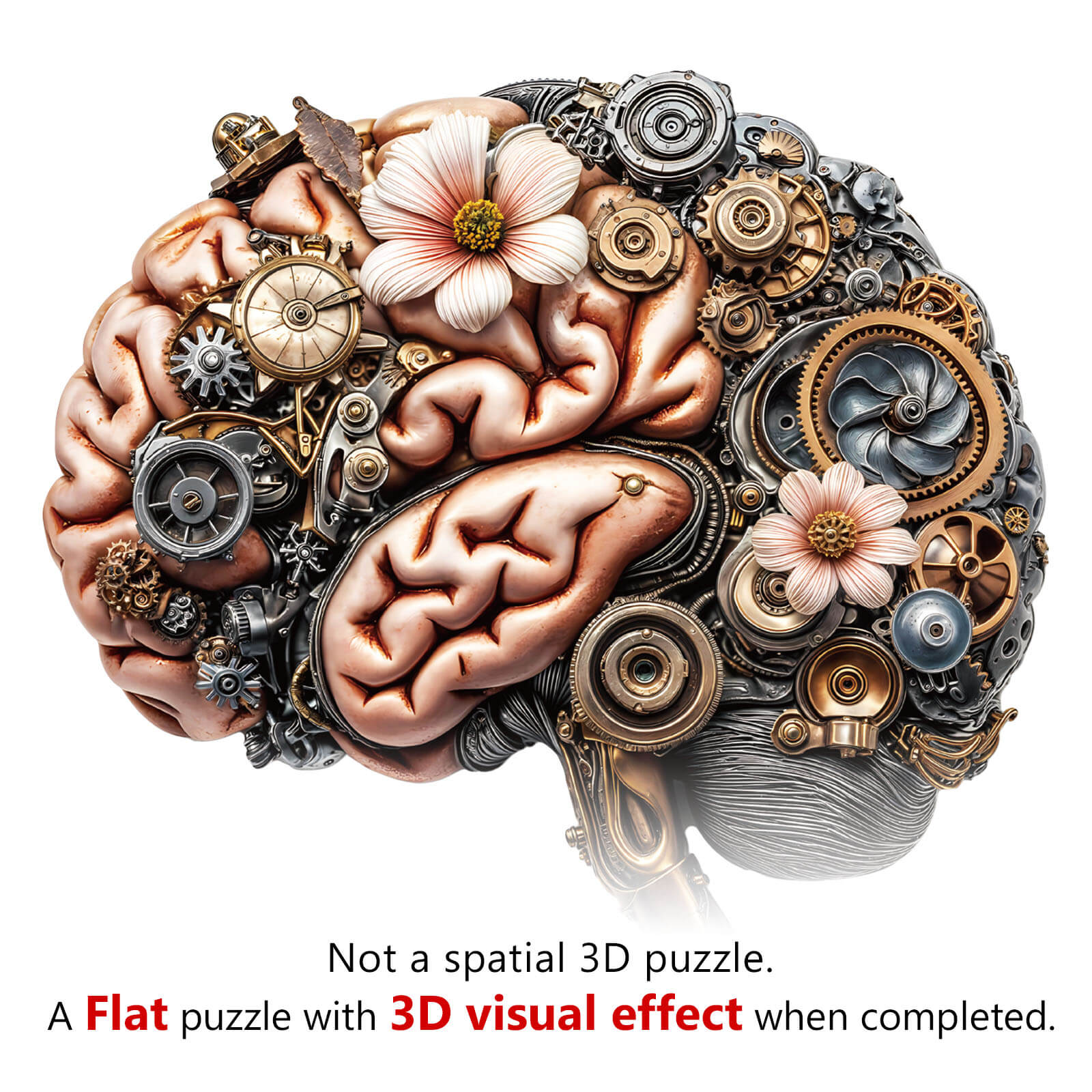 3D Mechanical Brainstem Wooden Jigsaw Puzzle - Image 8