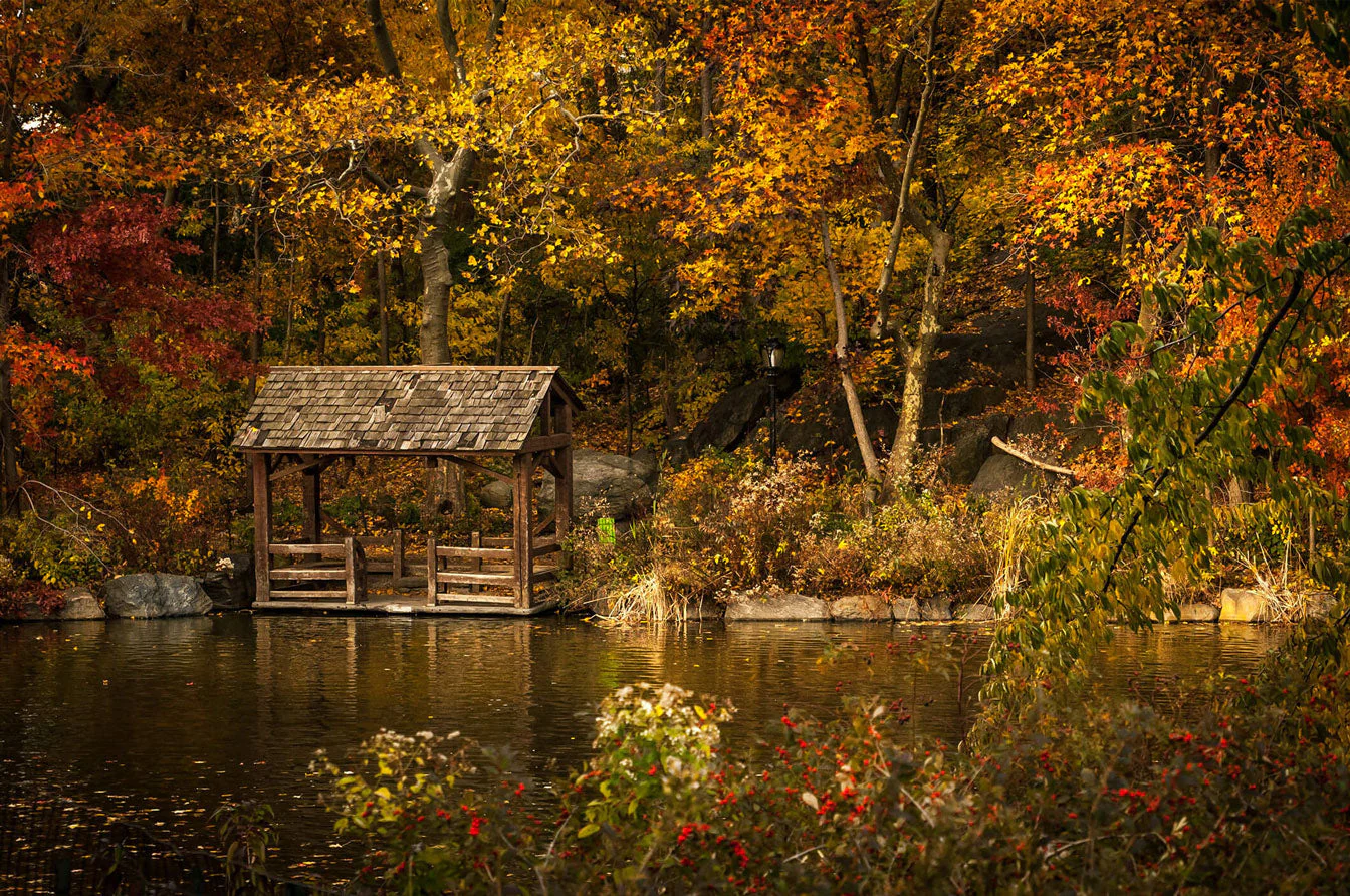 Autumn Lakeside 500 / 1000 Piece Puzzle