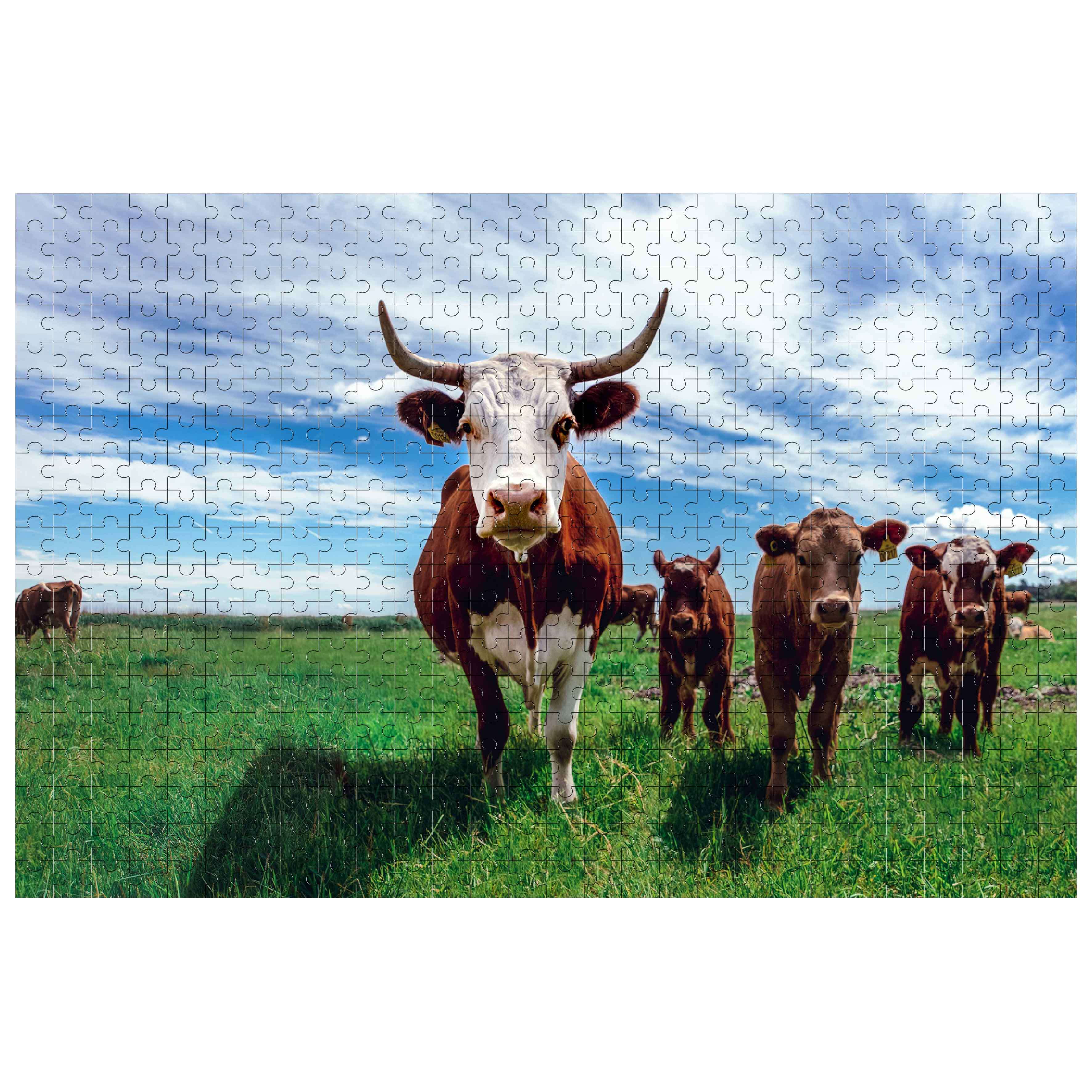 Cows on the Grassland 500 / 1000 Piece Puzzle - Image 3